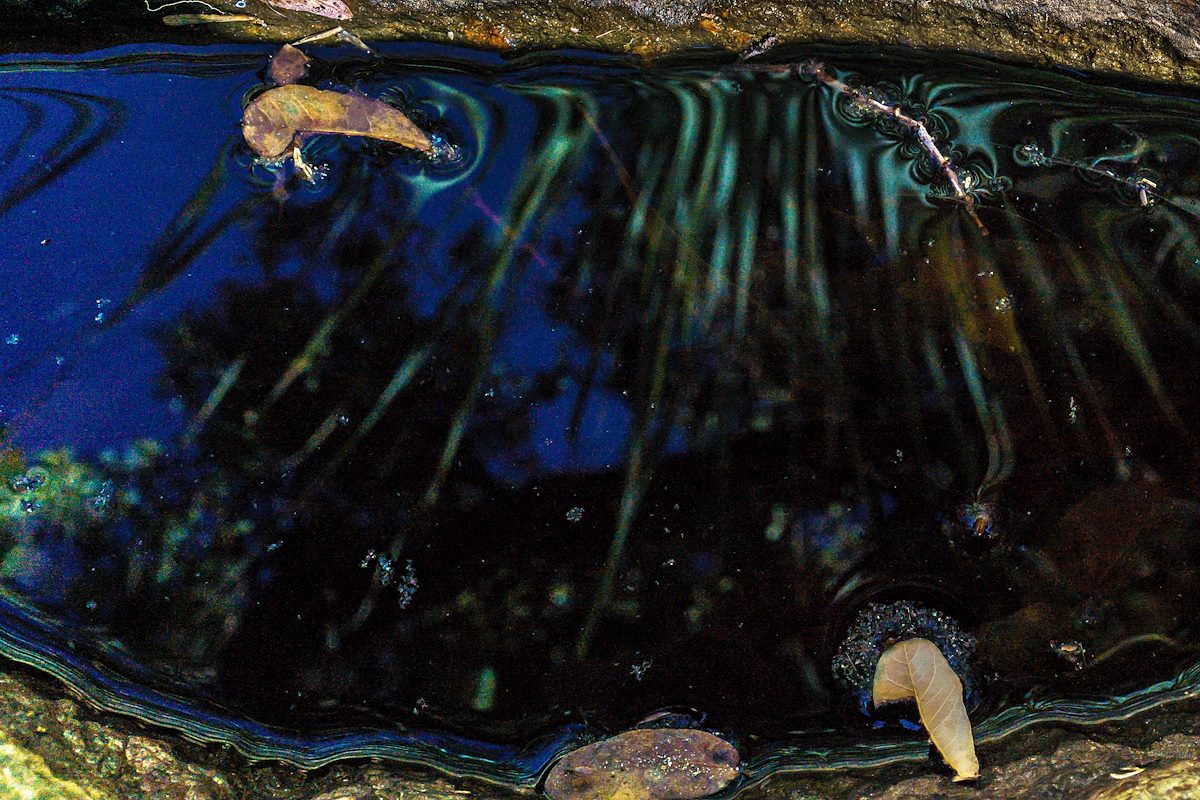 2018 January Pool and Reflection in Sutherland Wash