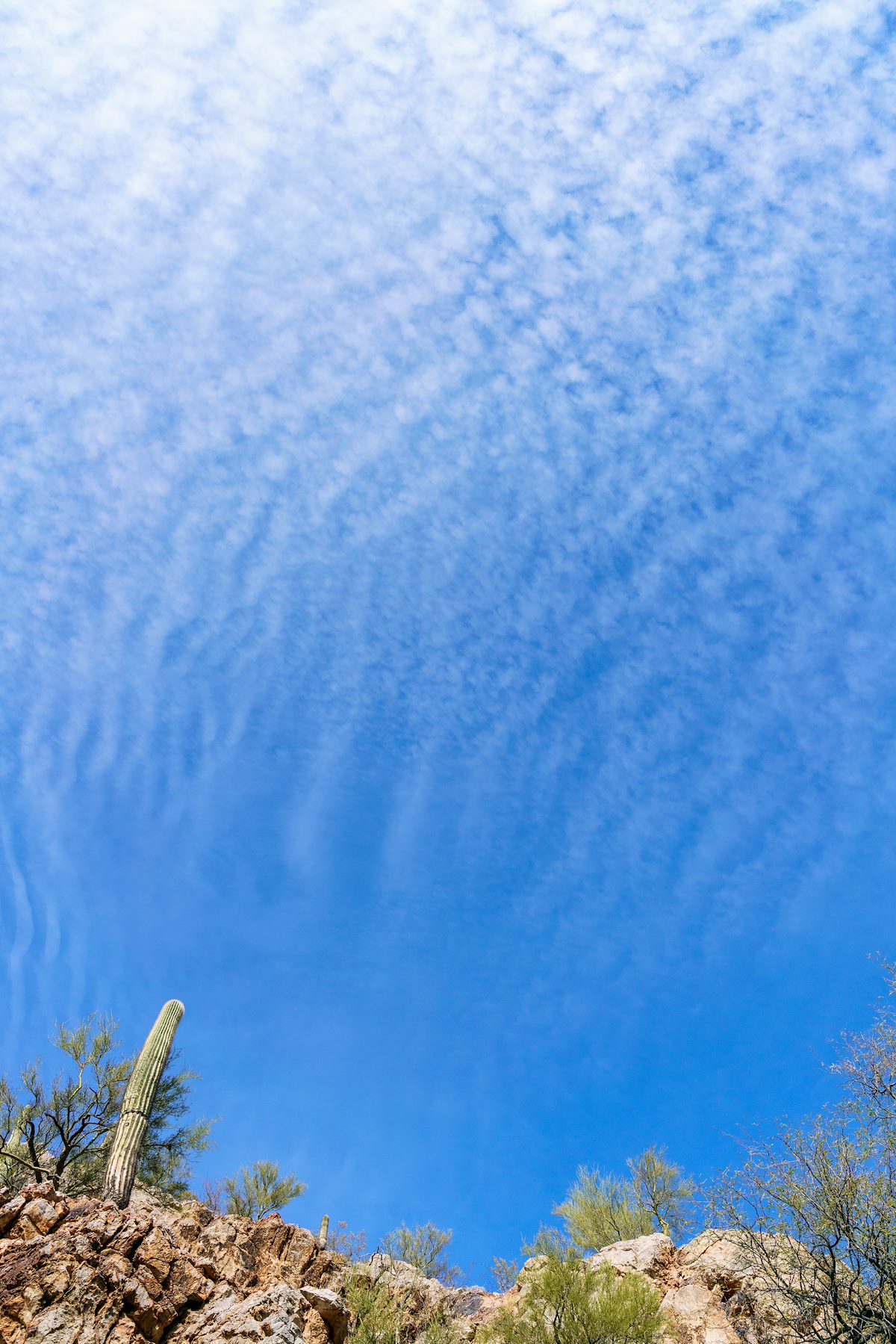 2018 January SunZia over Edgar Canyon 01