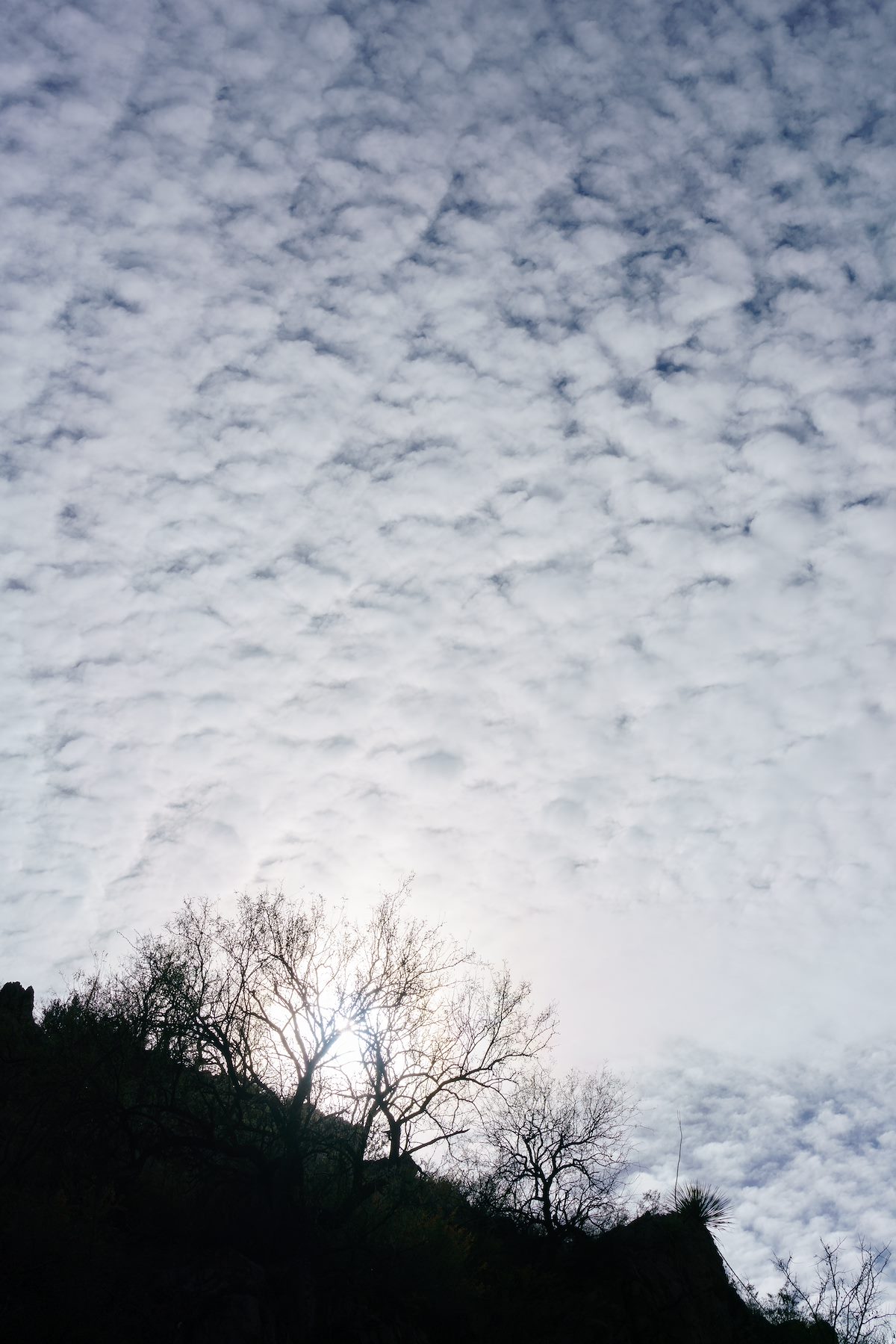 2018 January SunZia over Edgar Canyon 03