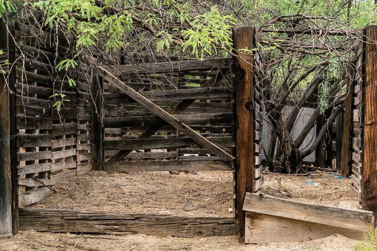 2018 July A Maze of Fences below Peck Spring