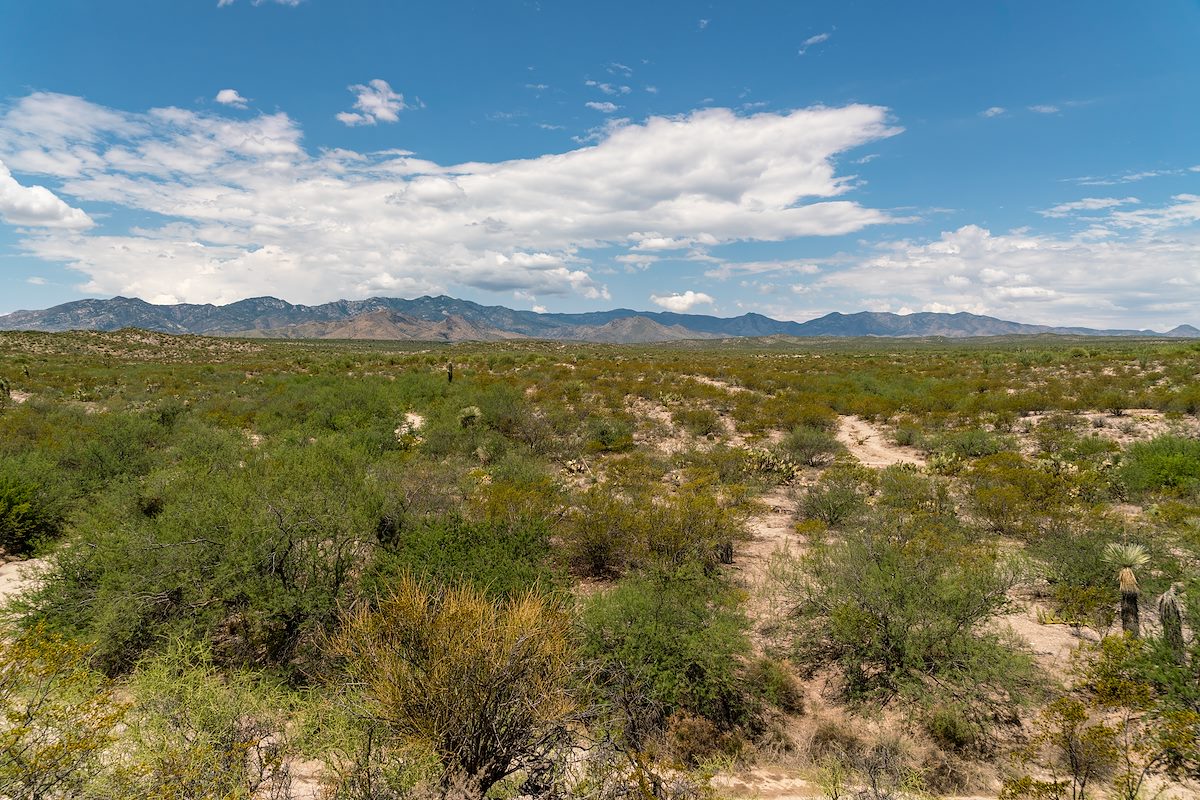 2018 July East Side of the Santa Catalina Mountains from the Sunzia Route north of Edgar Canyon