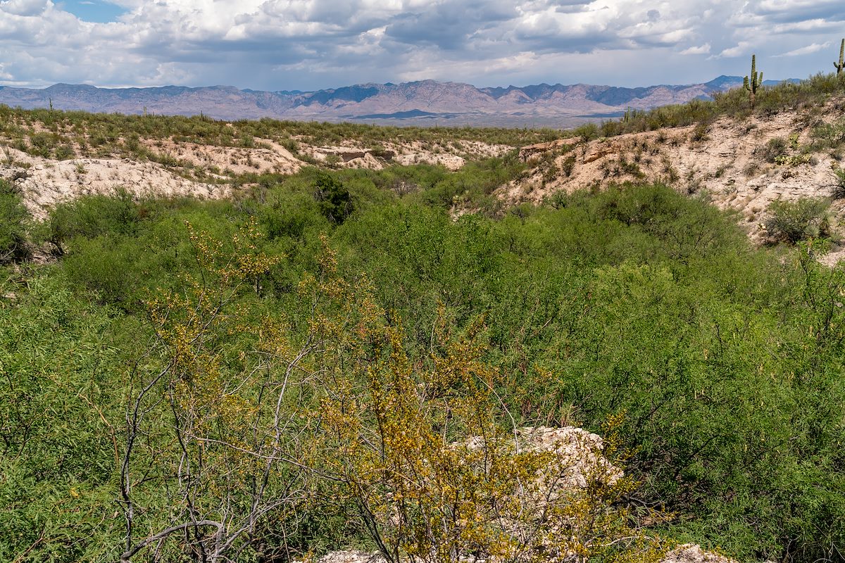2018 July Looking Down Peck Canyon