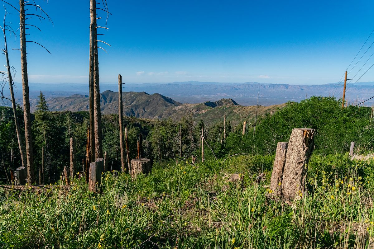 2018 July Oracle Ridge from FR18