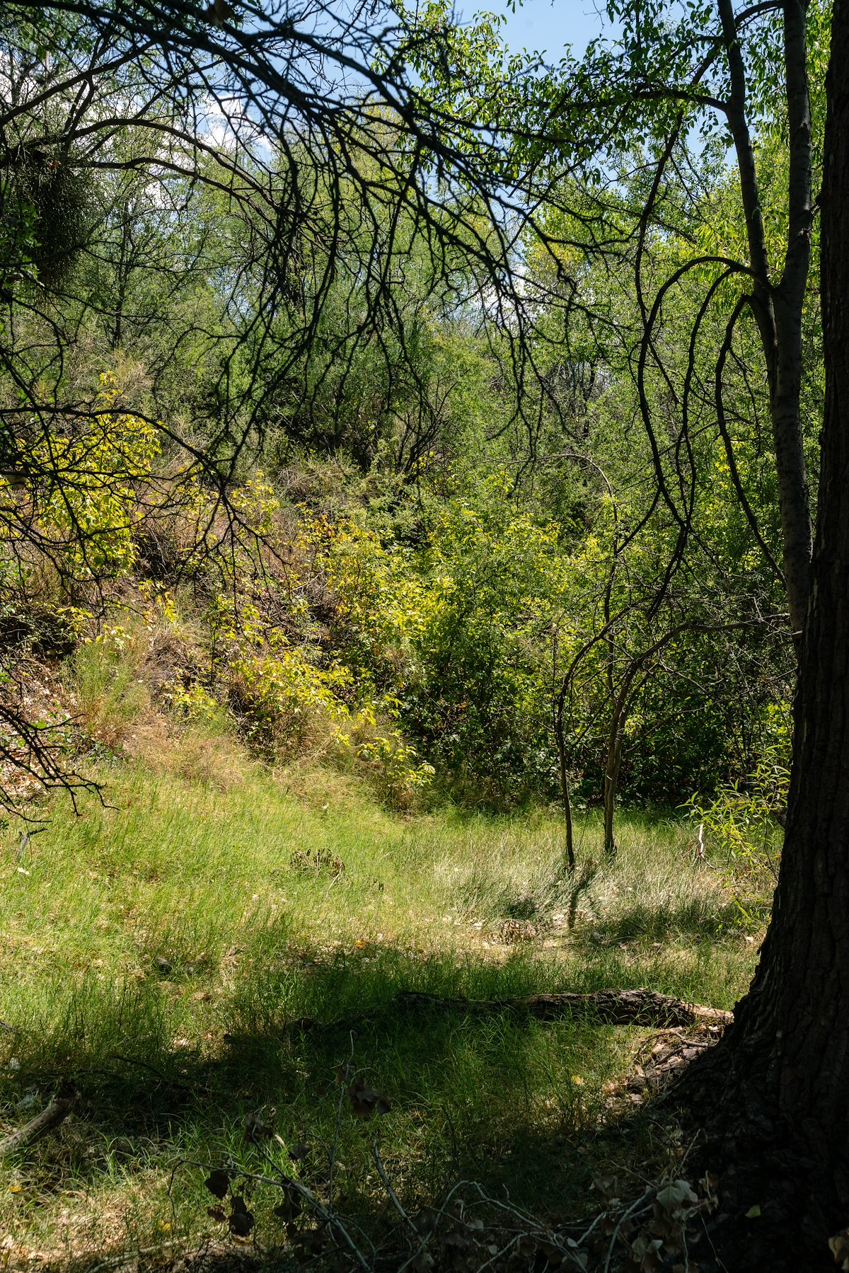 2018 July Peck Spring