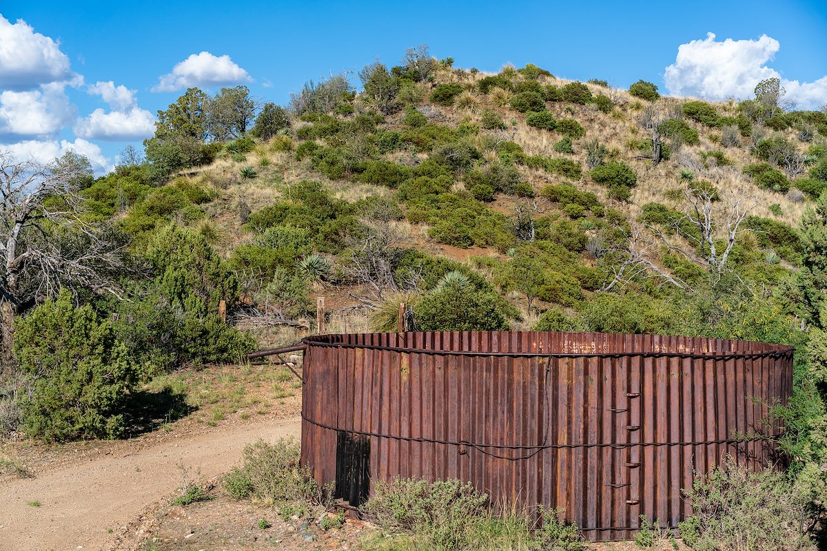 2018 July Pidgeon Tank
