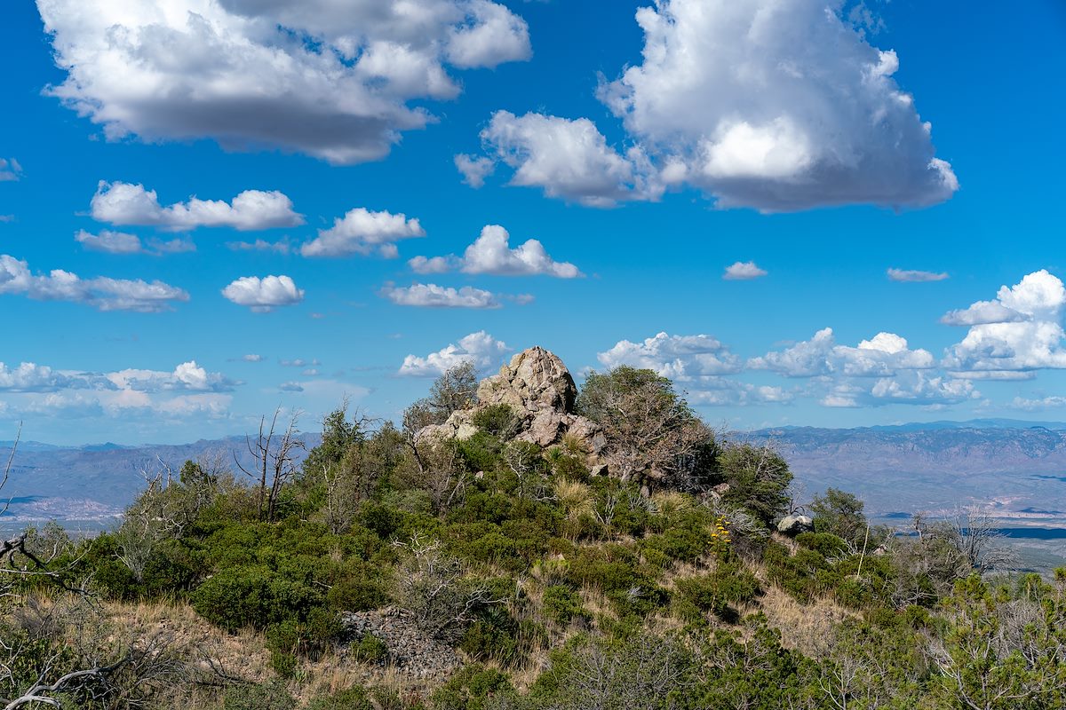 2018 July Point 6394 off FR4401