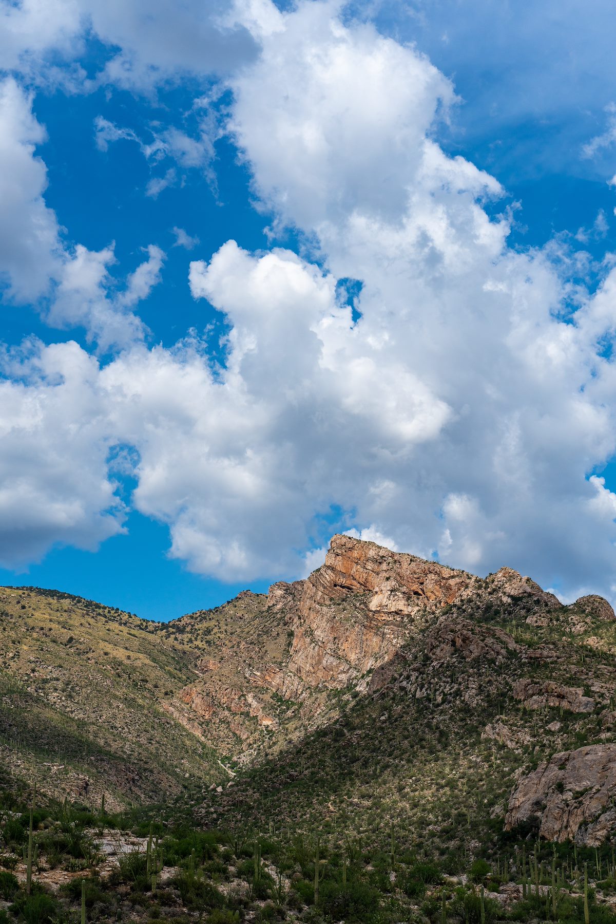 2018 July Pontatoc Ridge