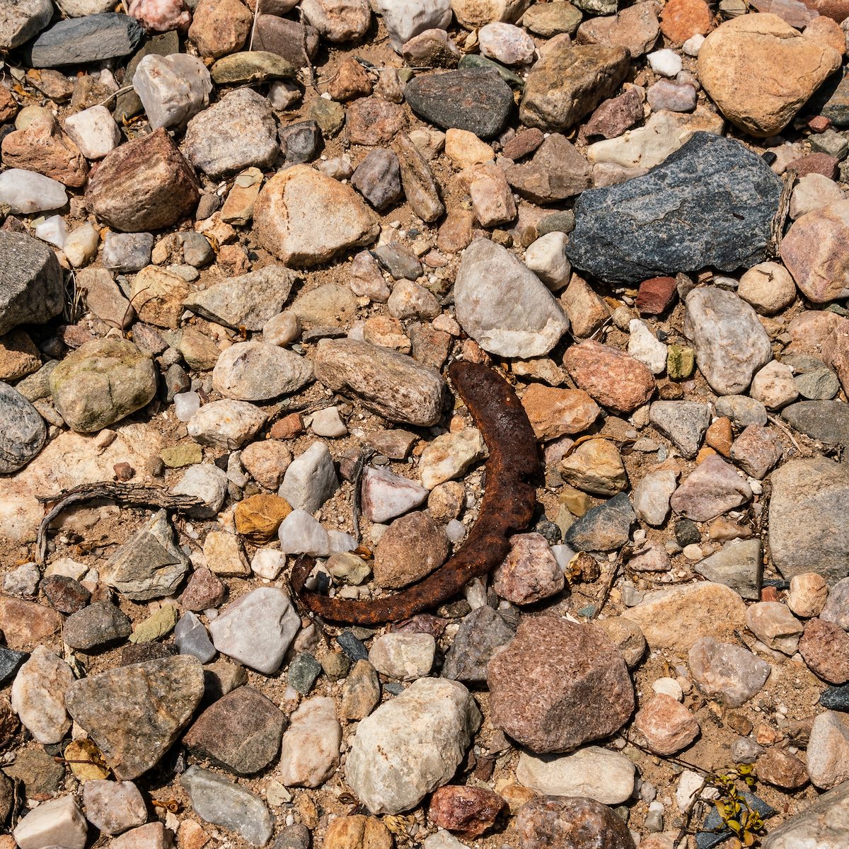 2018 July Rusted Horseshoe in the Peck Spring Area