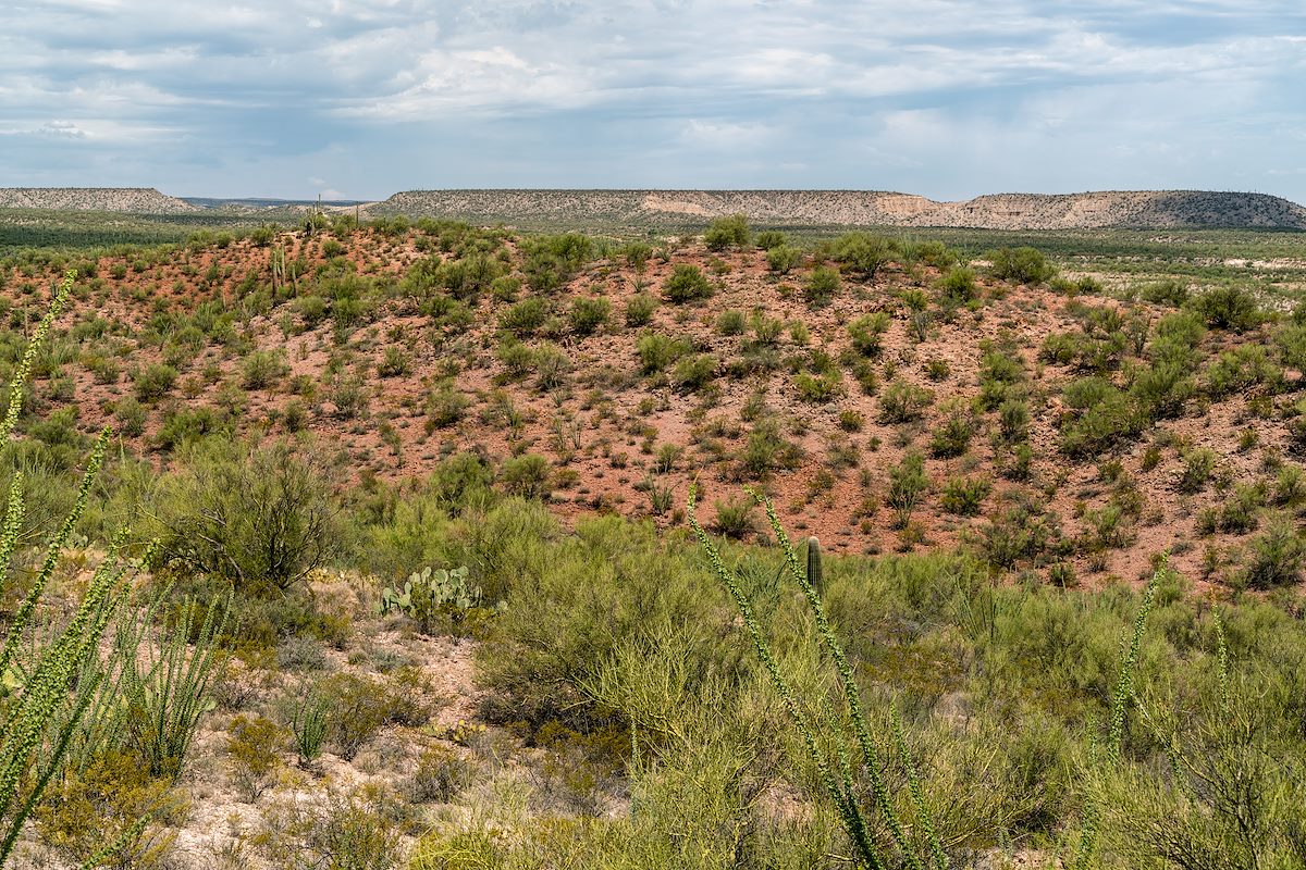 2018 July SunZia Route near the road to the Davis Spring Trailhead