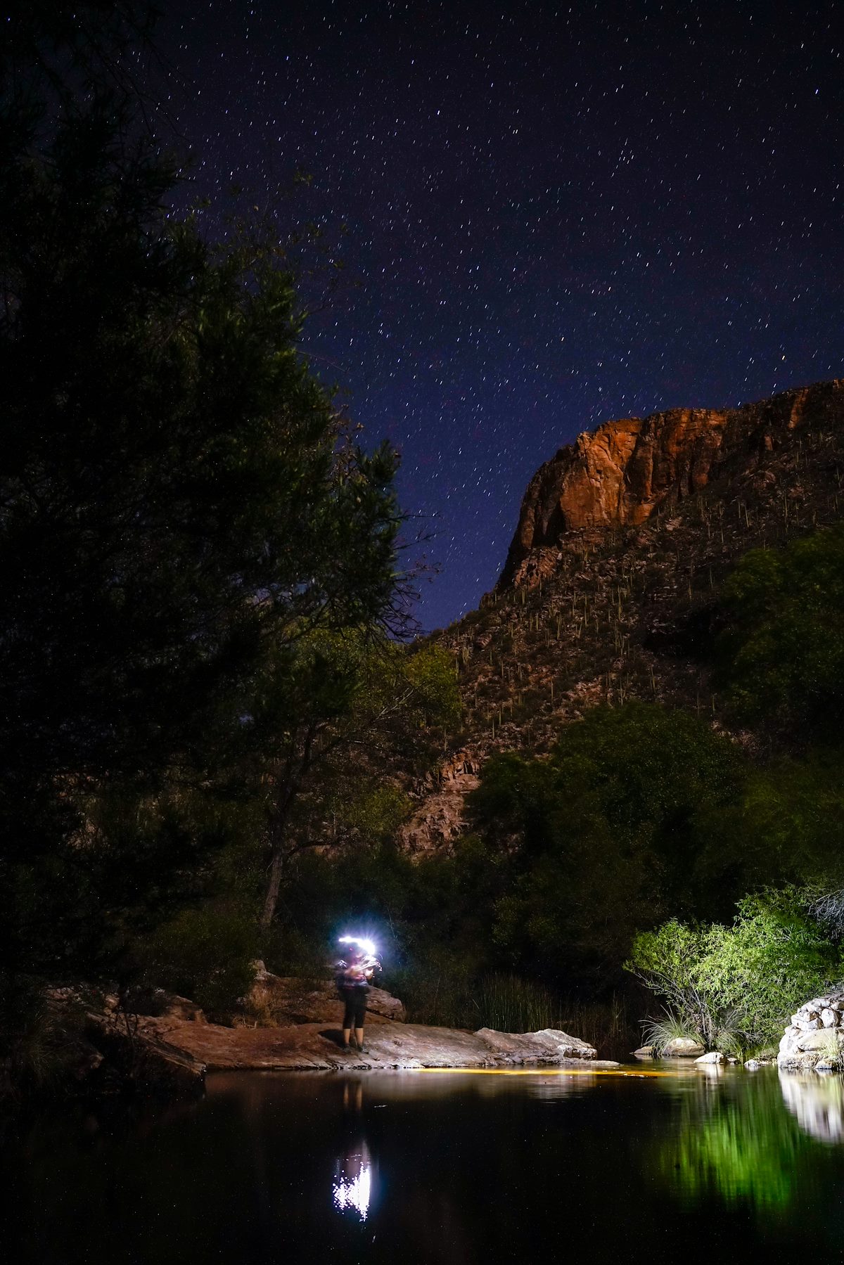 2018 June Under the stars in Sabino Canyon