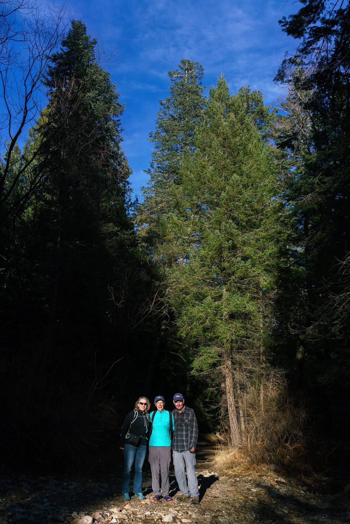 2018 March Family on the Aspen Draw Trail 01