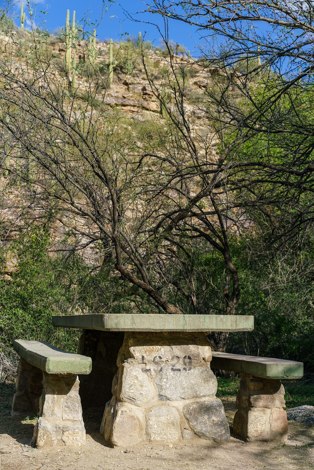 2018 March Lower Sabino Canyon 29