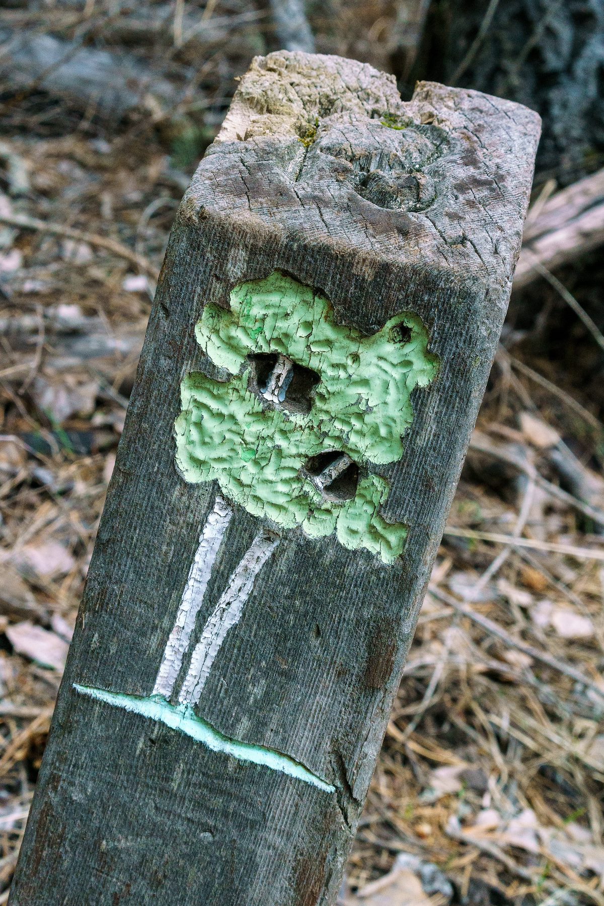 2018 March Old Marker on the Aspen Draw Trail