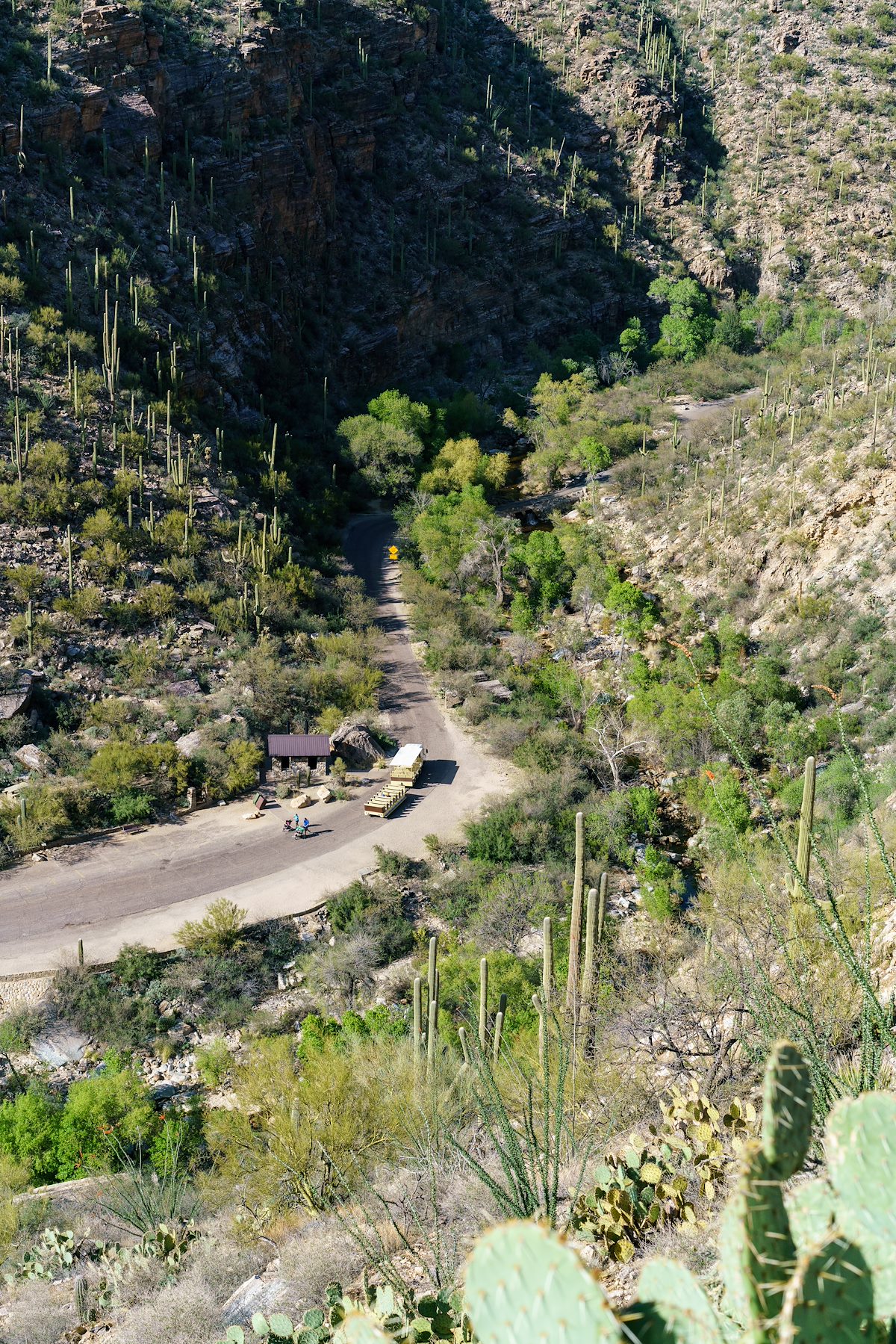 2018 March Sabino Canyon Tram