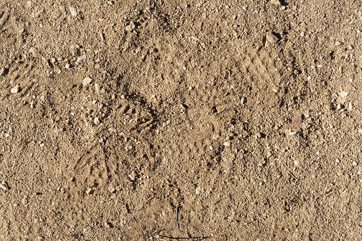 2018 March Sadly cleared soil in the Pusch Ridge Wilderness