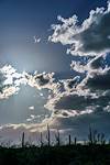2018 March Saguaro and Clouds