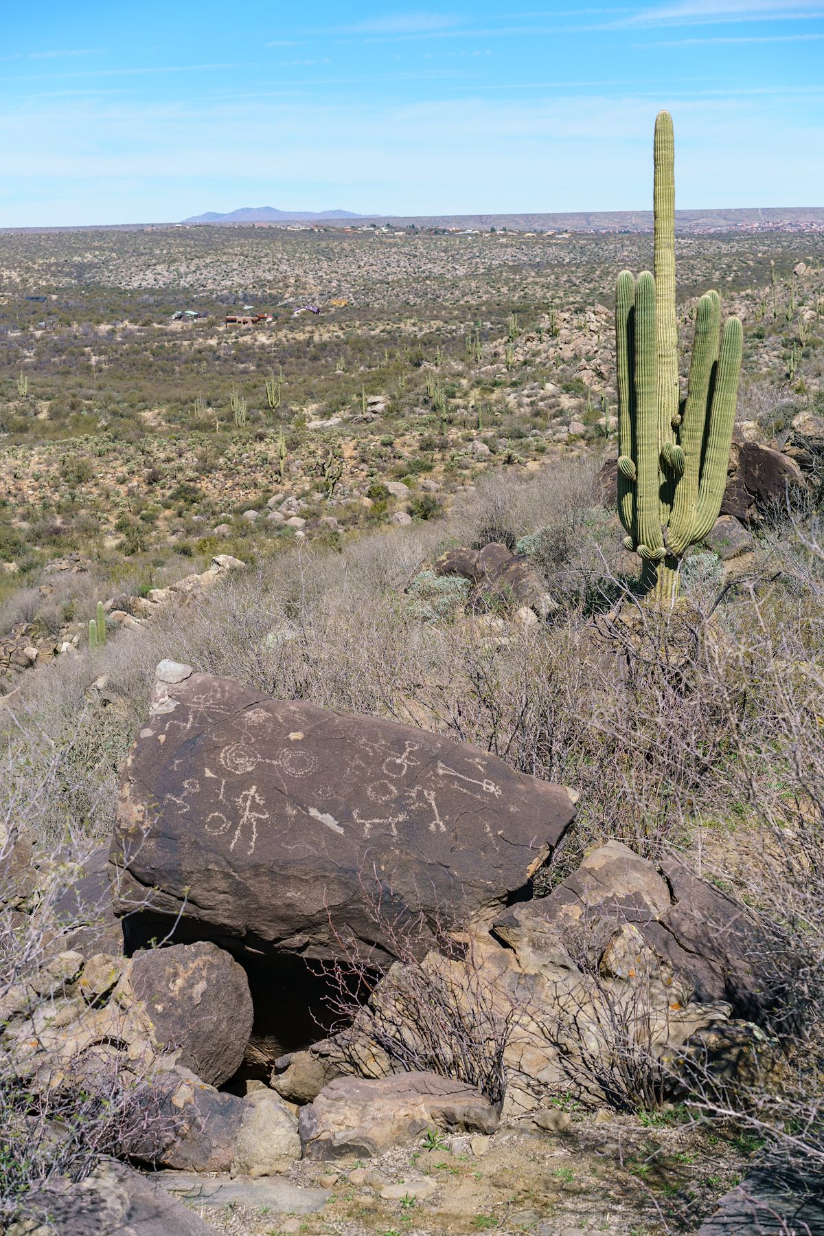 2018 March Sutherland Wash Rock Art District 01