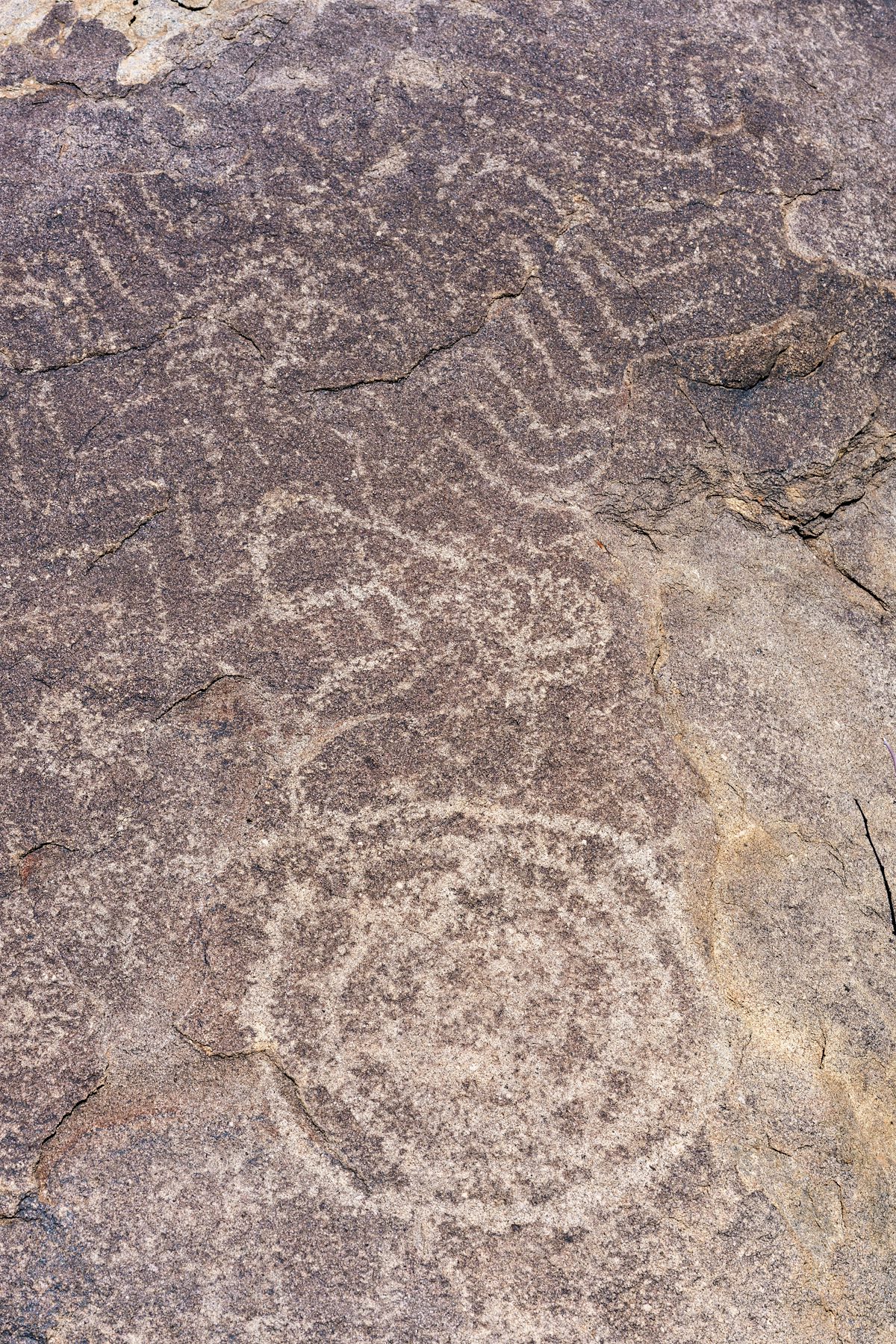 2018 March Sutherland Wash Rock Art District 04