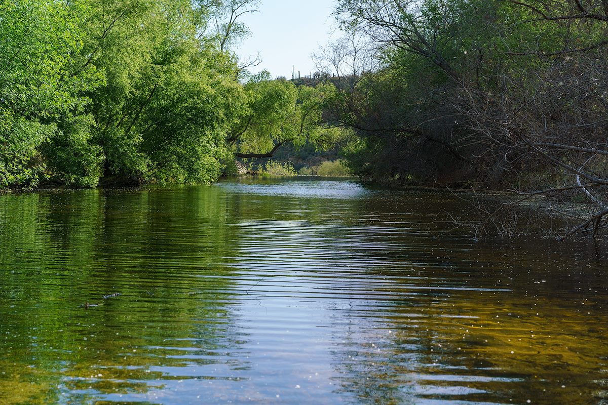 2018 March Water above the Dam