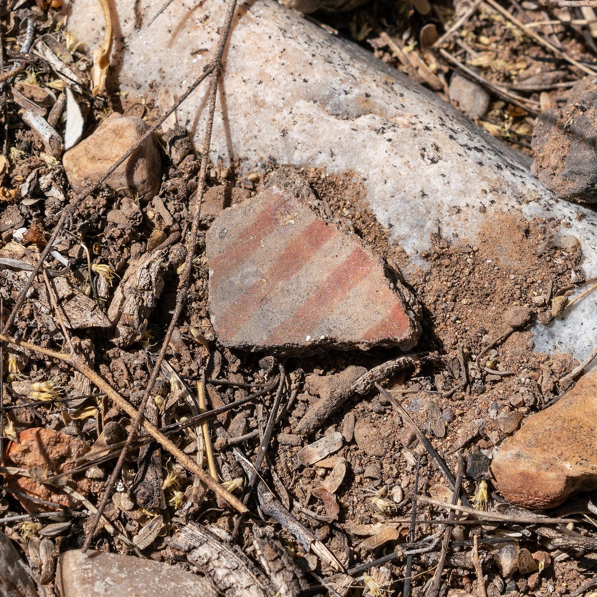 2018 May Alder Wash Ruin Sherd 01
