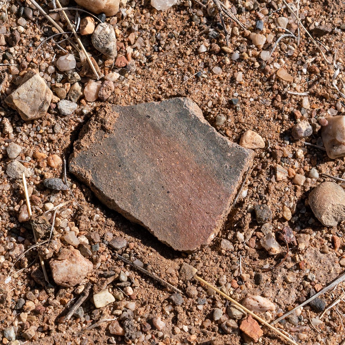 2018 May Alder Wash Ruin Sherd 02