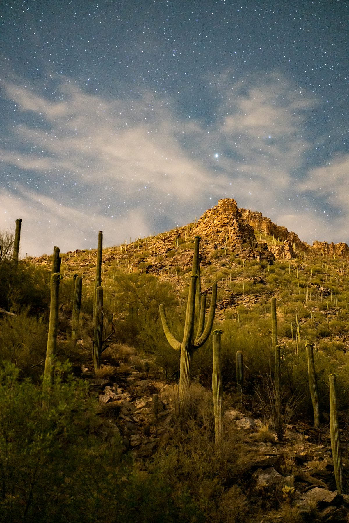 2018 May Bear Canyon Night 01