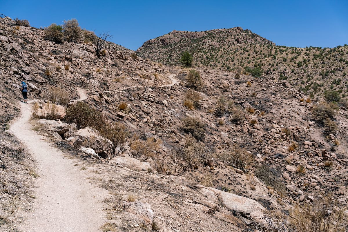 2018 May Bug Spring Trail after the Bug Fire