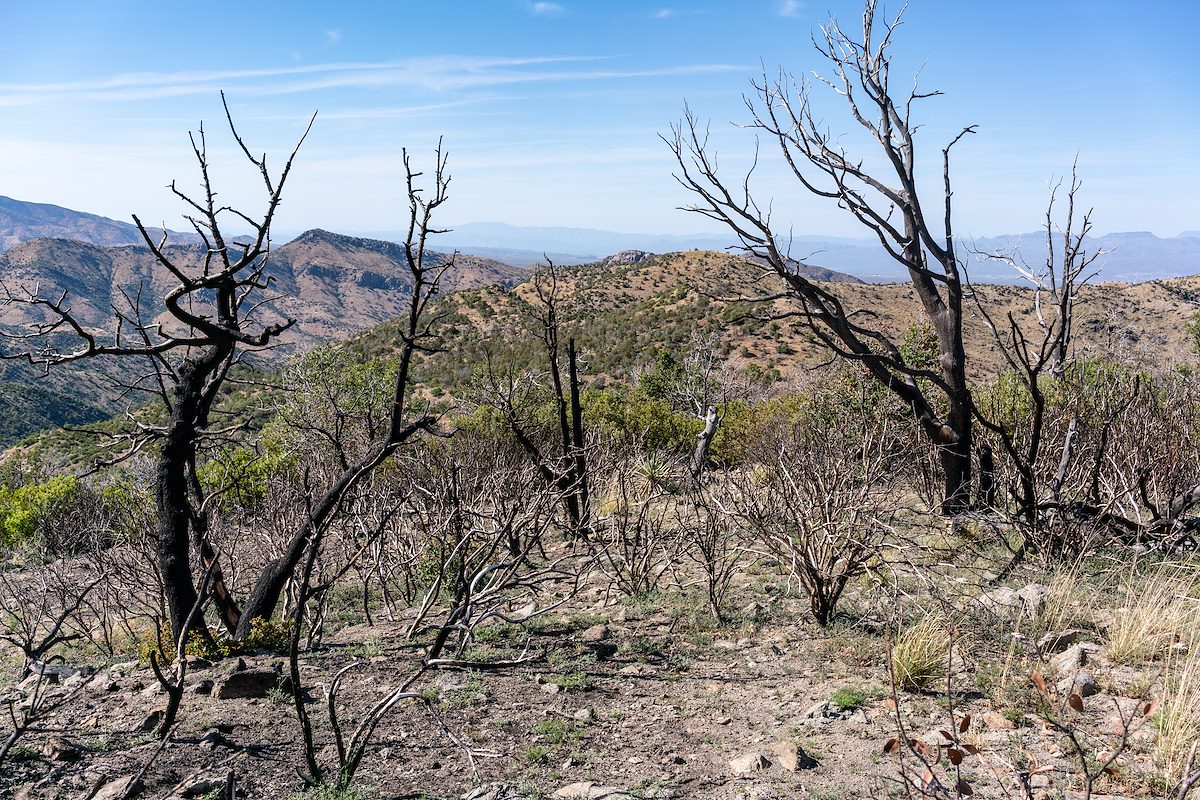 2018 May Burro Fire Burn off the Brush Corral Trail