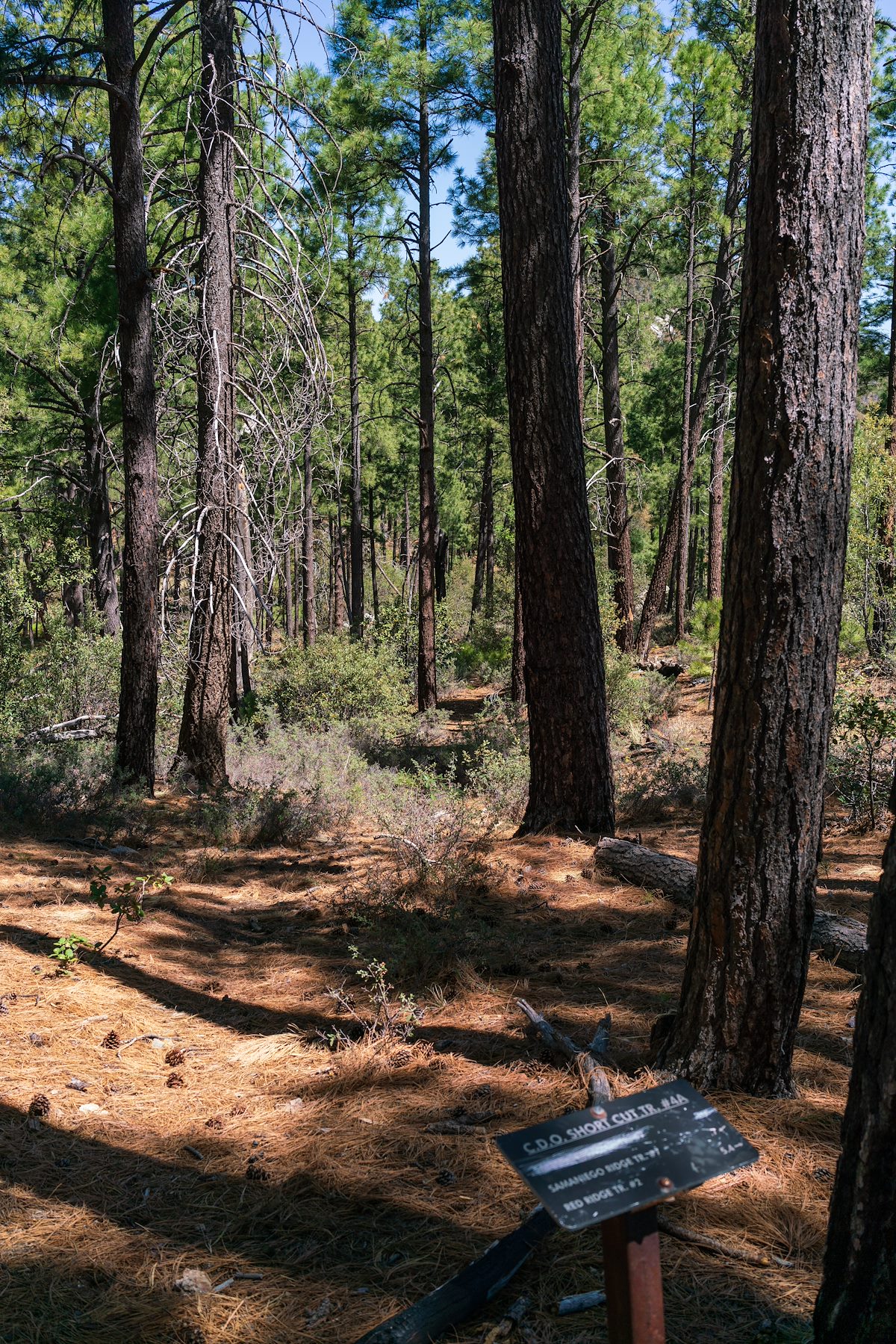 2018 May CDO Short Cut Trail and CDO Trail Junction
