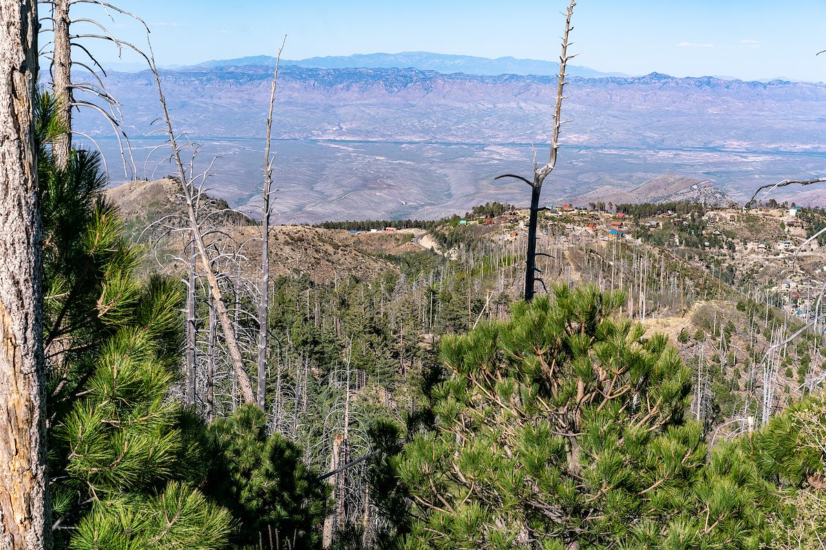 2018 May Looking over Summerhaven and Across the San Pedro River Valley from the Aspen Trail