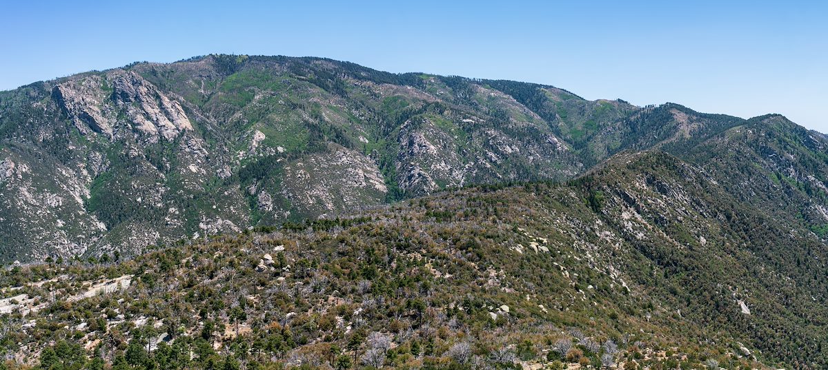 2018 May Looking up at Mount Lemmon from Samaniego Peak
