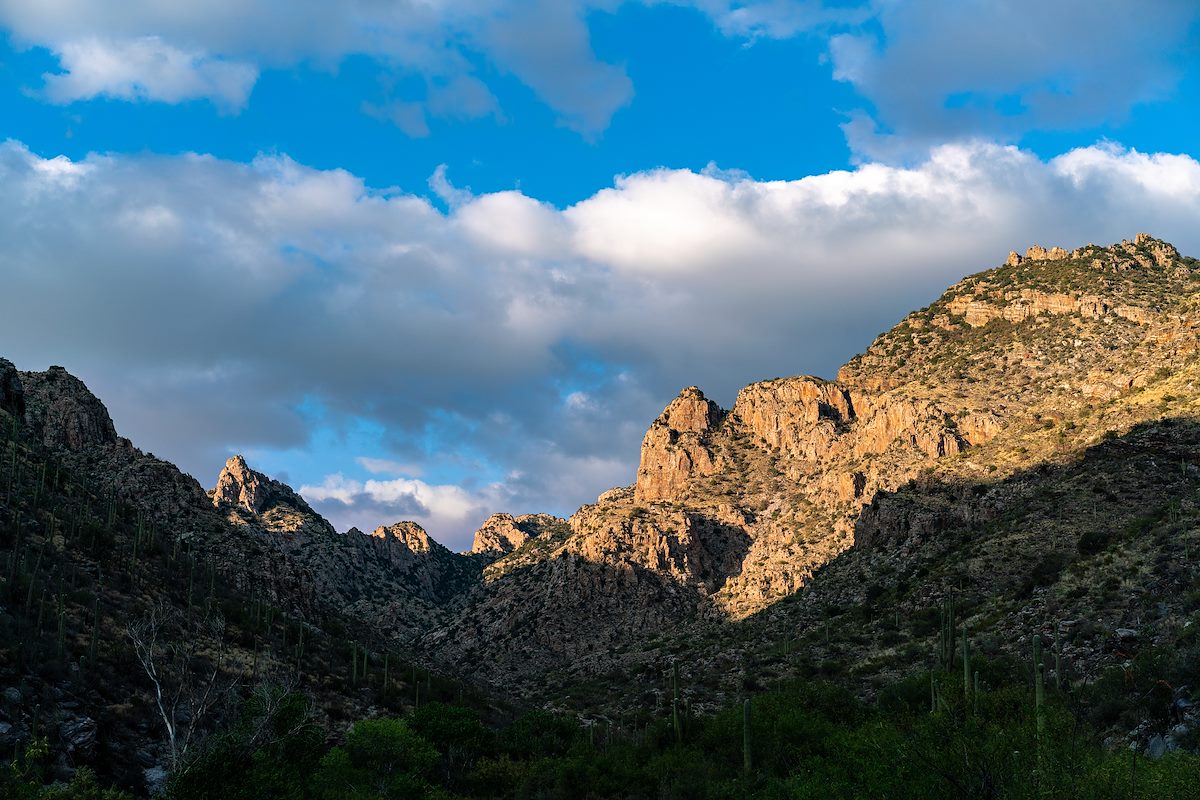 2018 May Looking up Pima Canyon