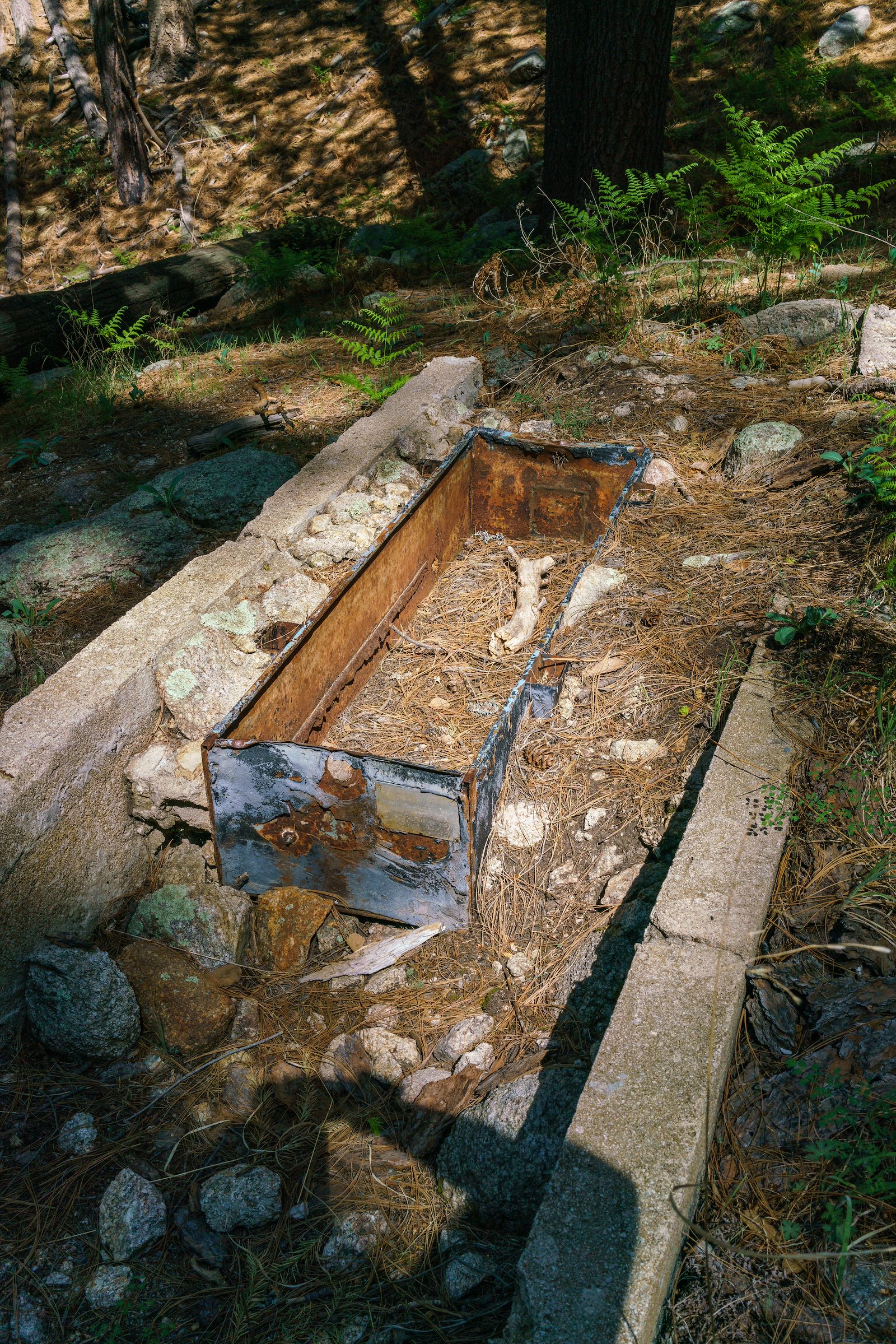 Cement Spring 2018 May Old Shovel Spring Cement Tank