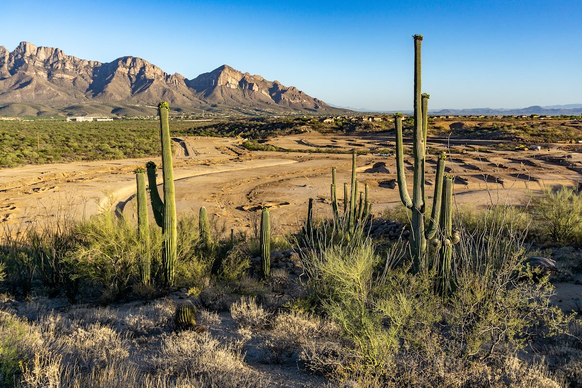 2018 May Rancho Vistoso Area Construction with Pusch Ridge in the Background