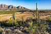 2018 May Rancho Vistoso Area Construction with Pusch Ridge in the Background