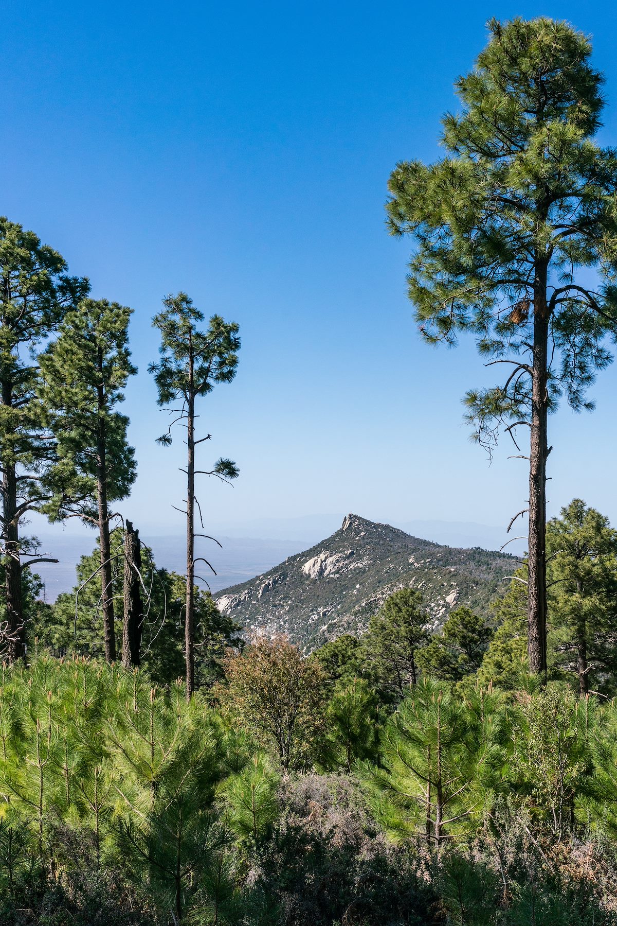 2018 May Samaniego Peak