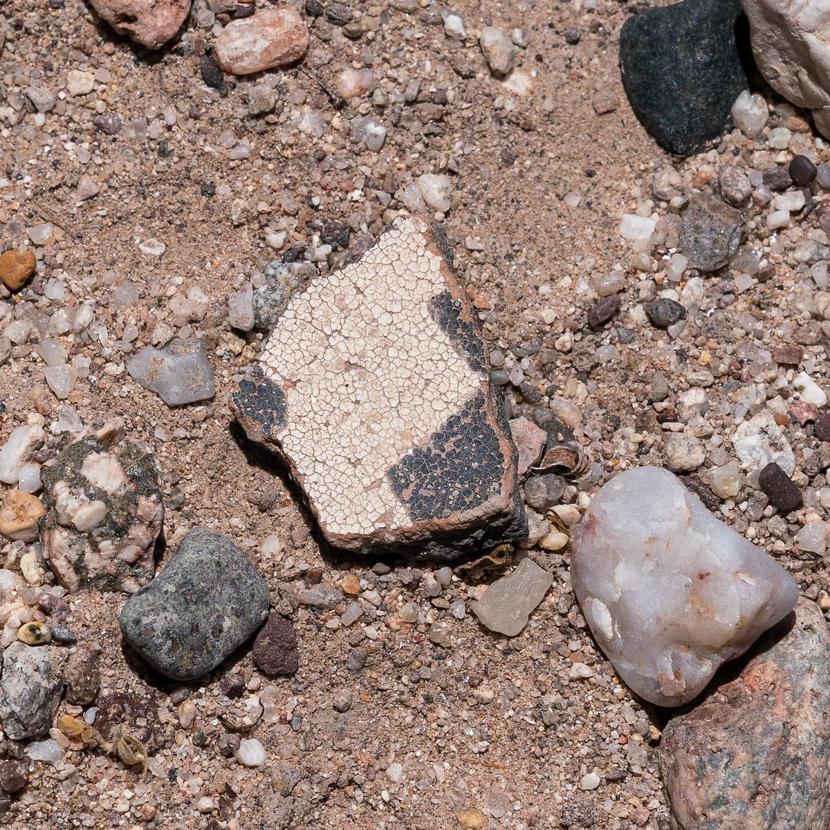 2018 May Second Canyon Ruin Sherds 01