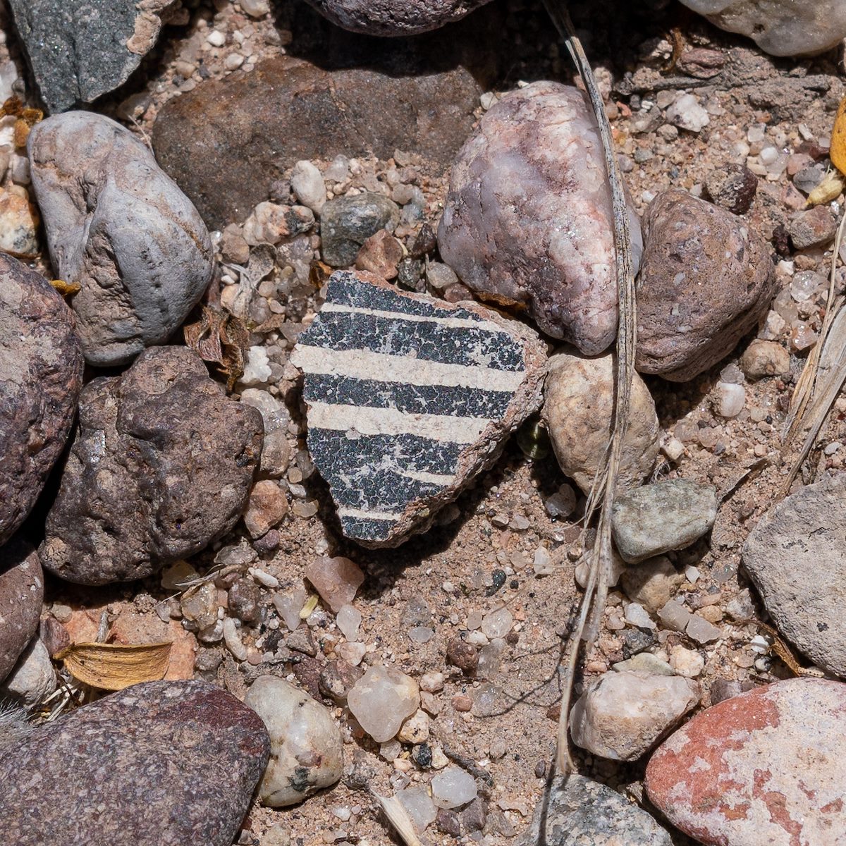 2018 May Second Canyon Ruin Sherds 02