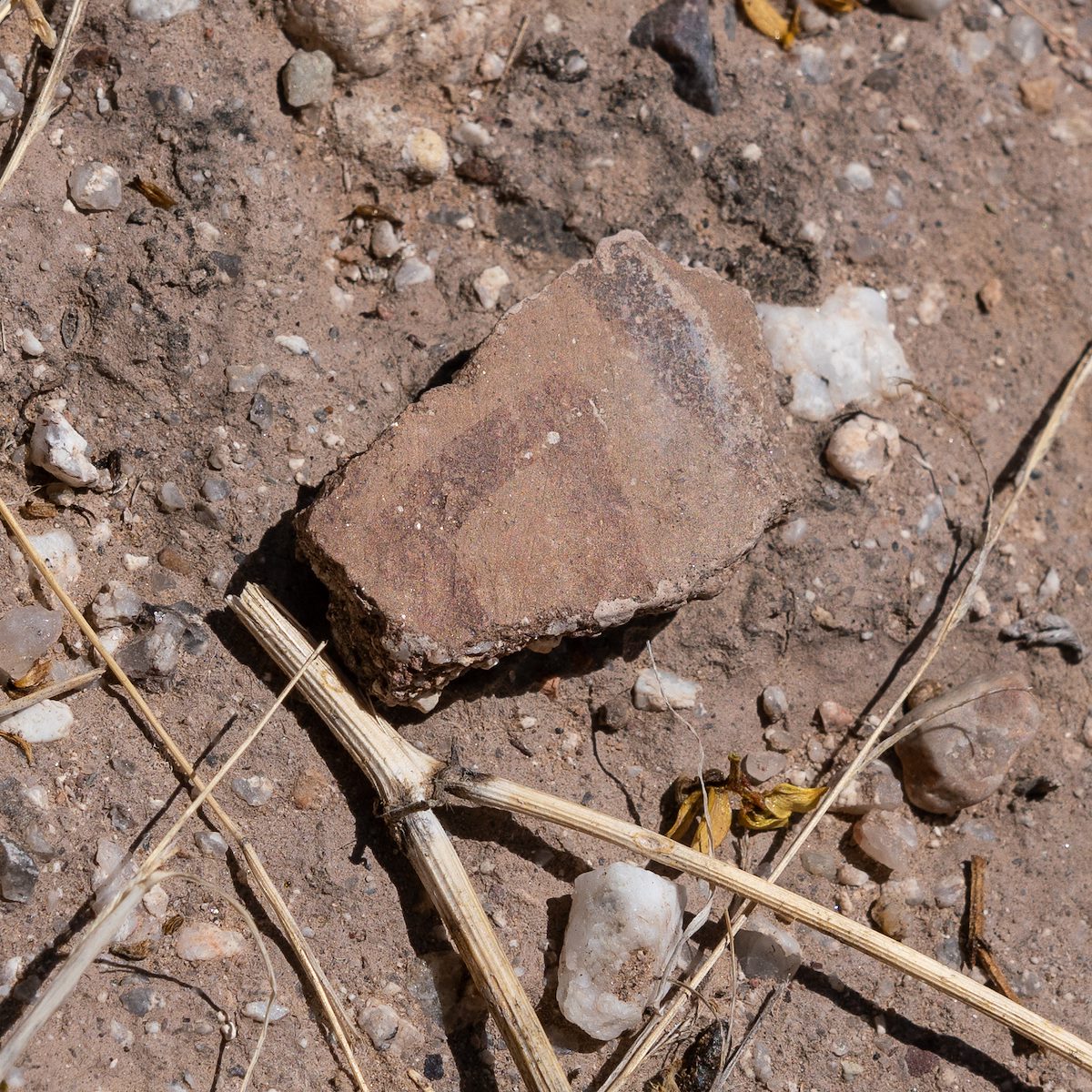 2018 May Second Canyon Ruin Sherds 04