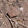 2018 May Second Canyon Ruin Sherds 04