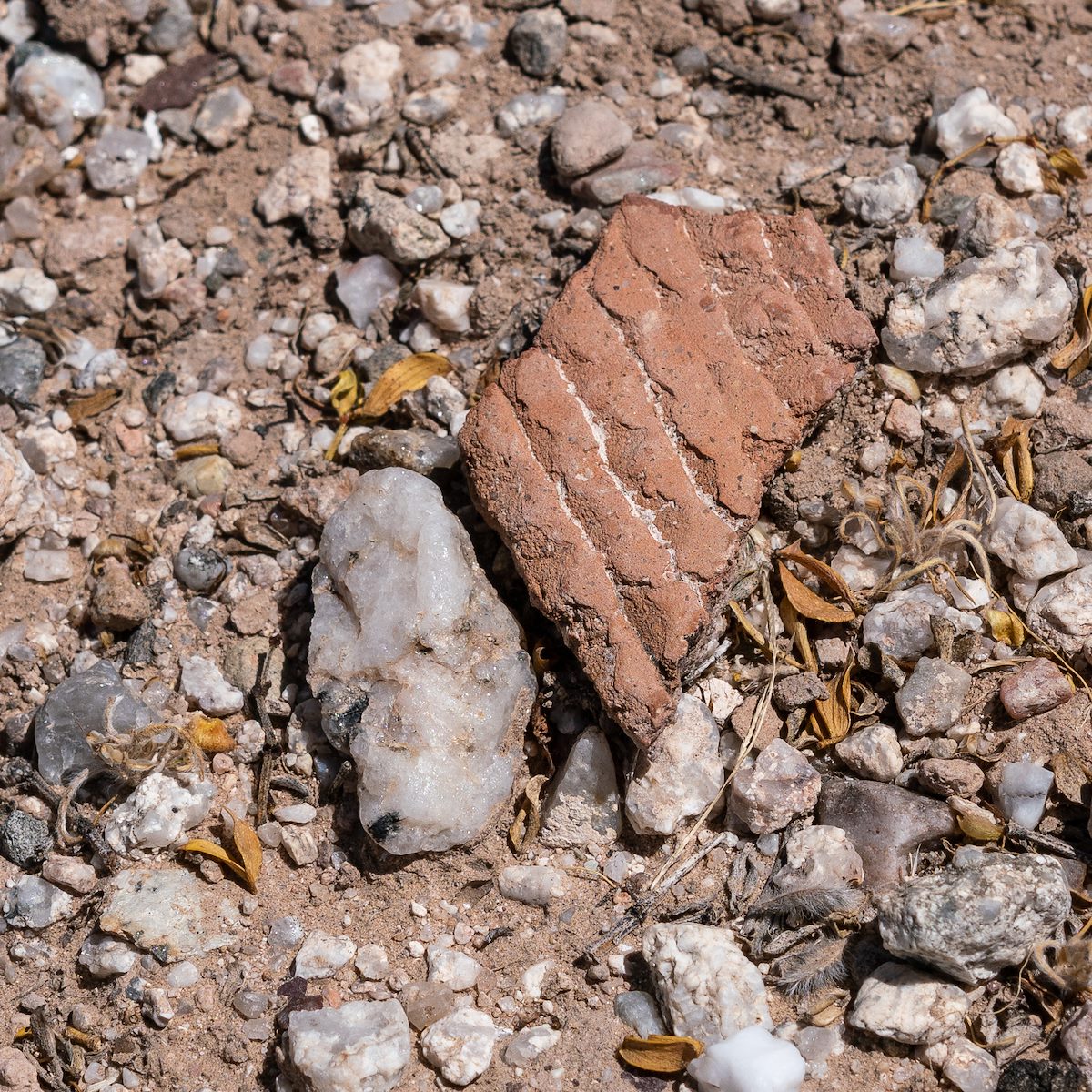 2018 May Second Canyon Ruin Sherds 05