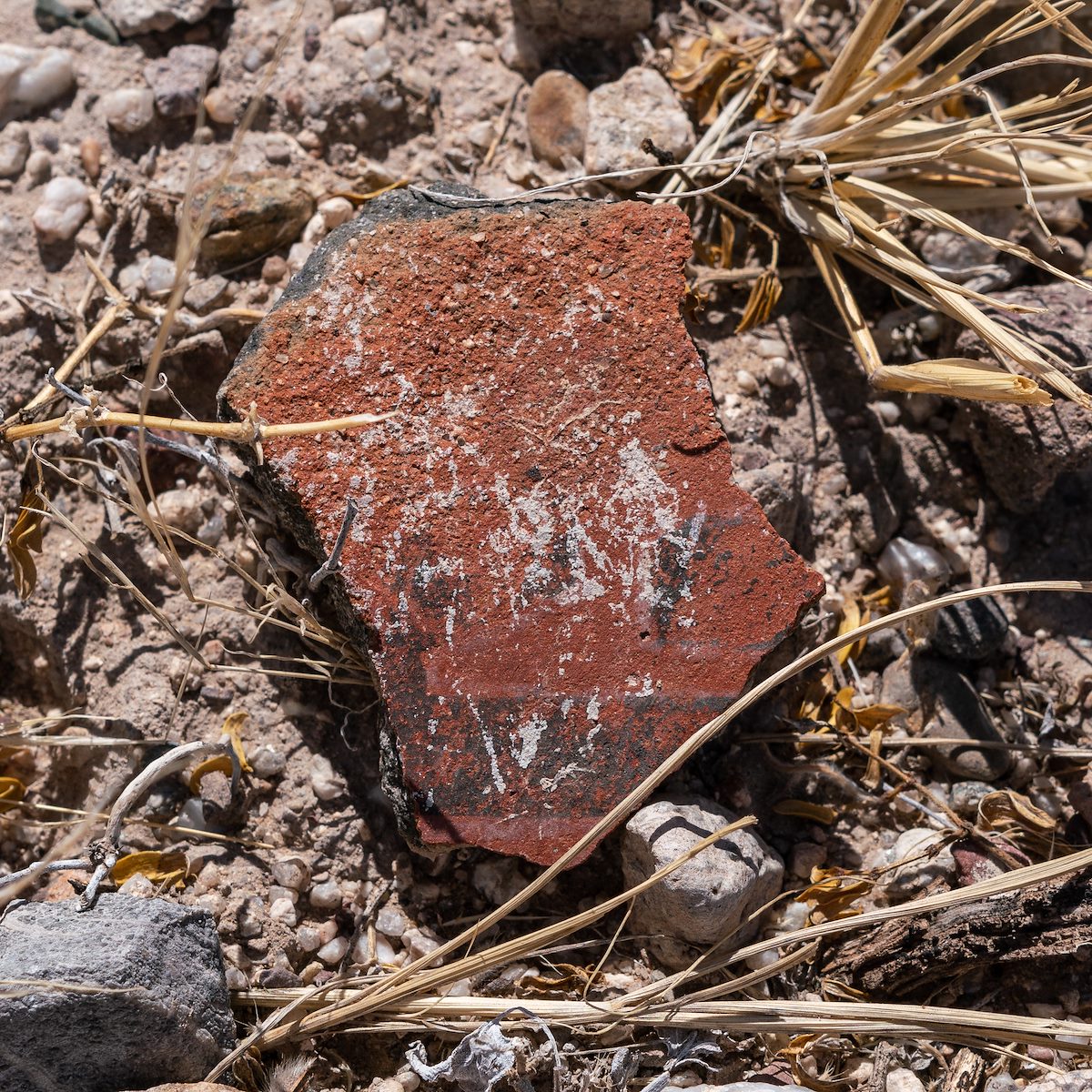 2018 May Second Canyon Ruin Sherds 07