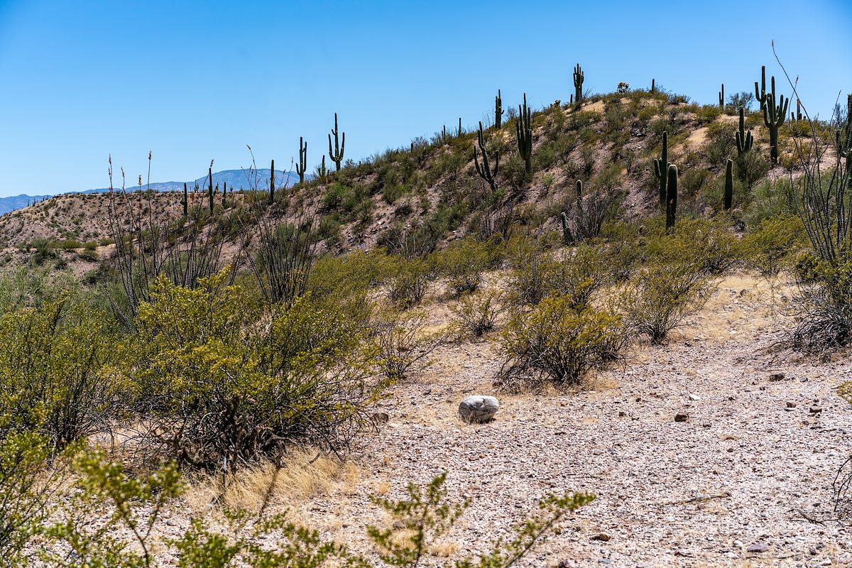 2018 May Second Canyon Ruin