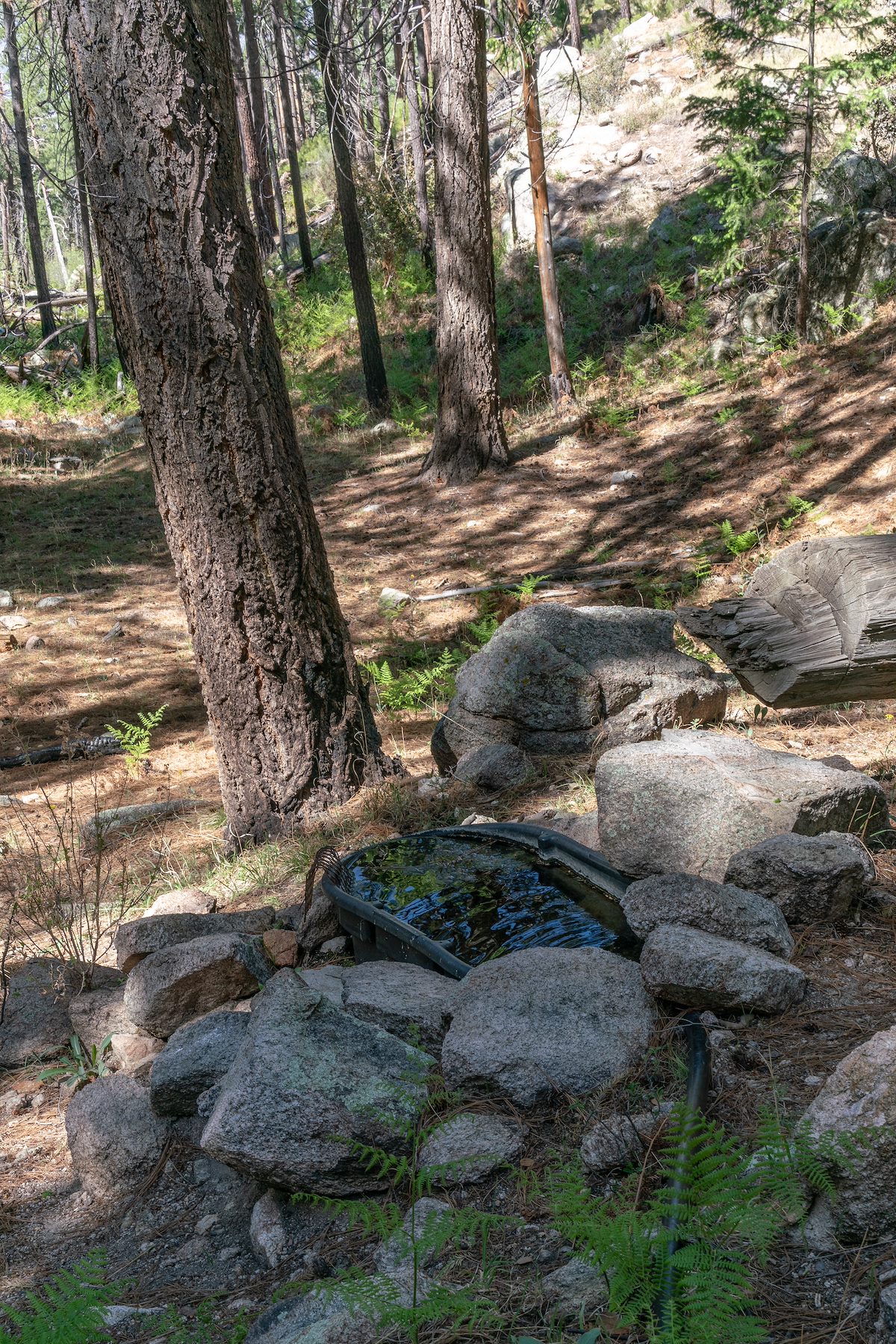 2018 May Shovel Spring Plastic Basin with Water