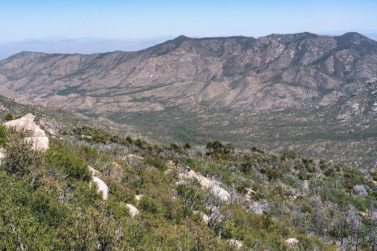 2018 May Slope Below Samaniego Peak and Oracle Ridge