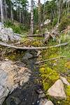 2018 May Stream near the Box Camp Trail