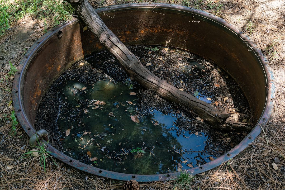 2018 May Walnut Spring