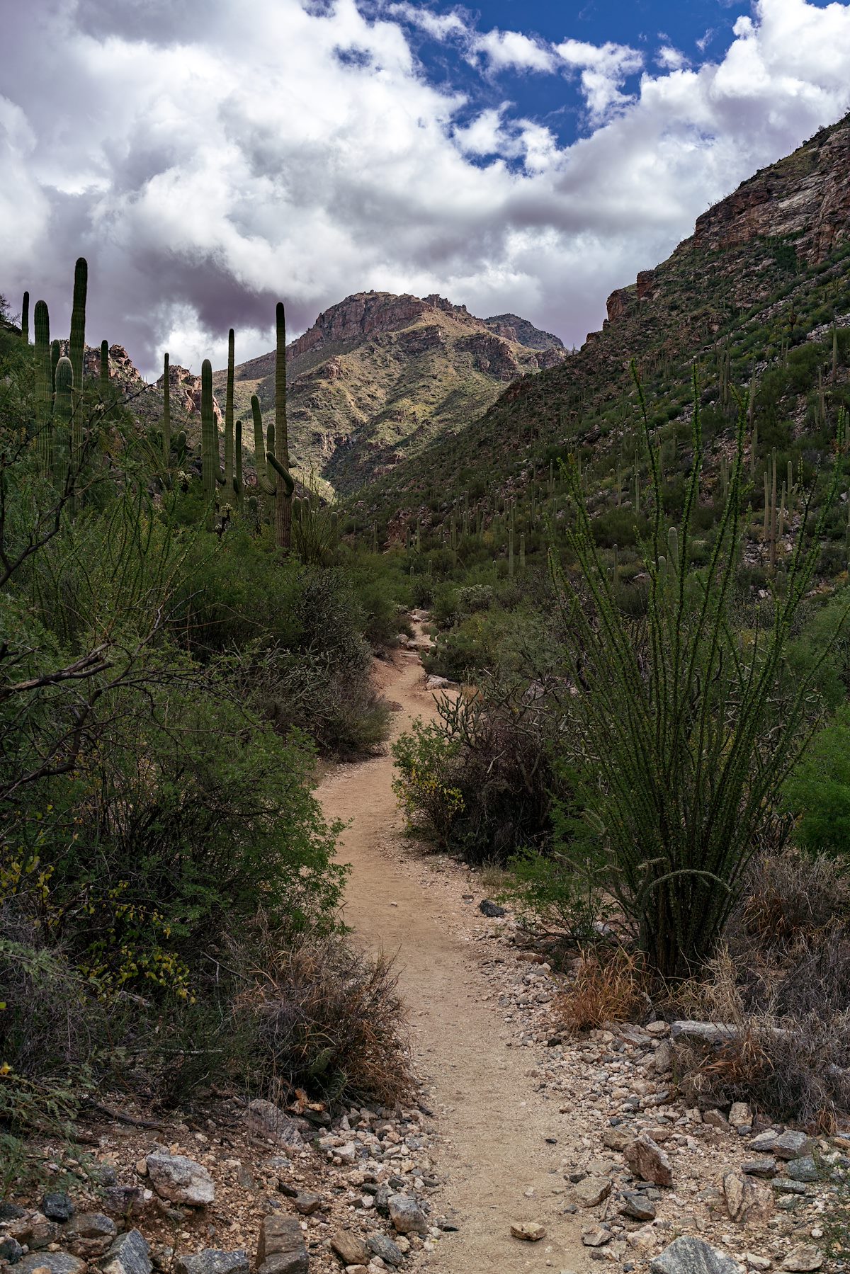 2018 October Bear Canyon Trail