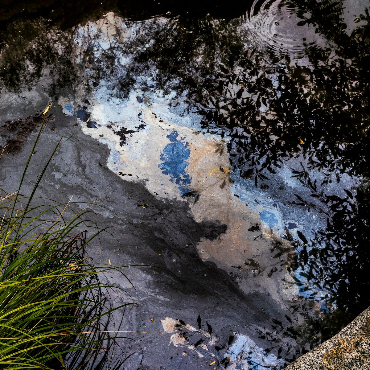 2018 October Water near the Blue Line