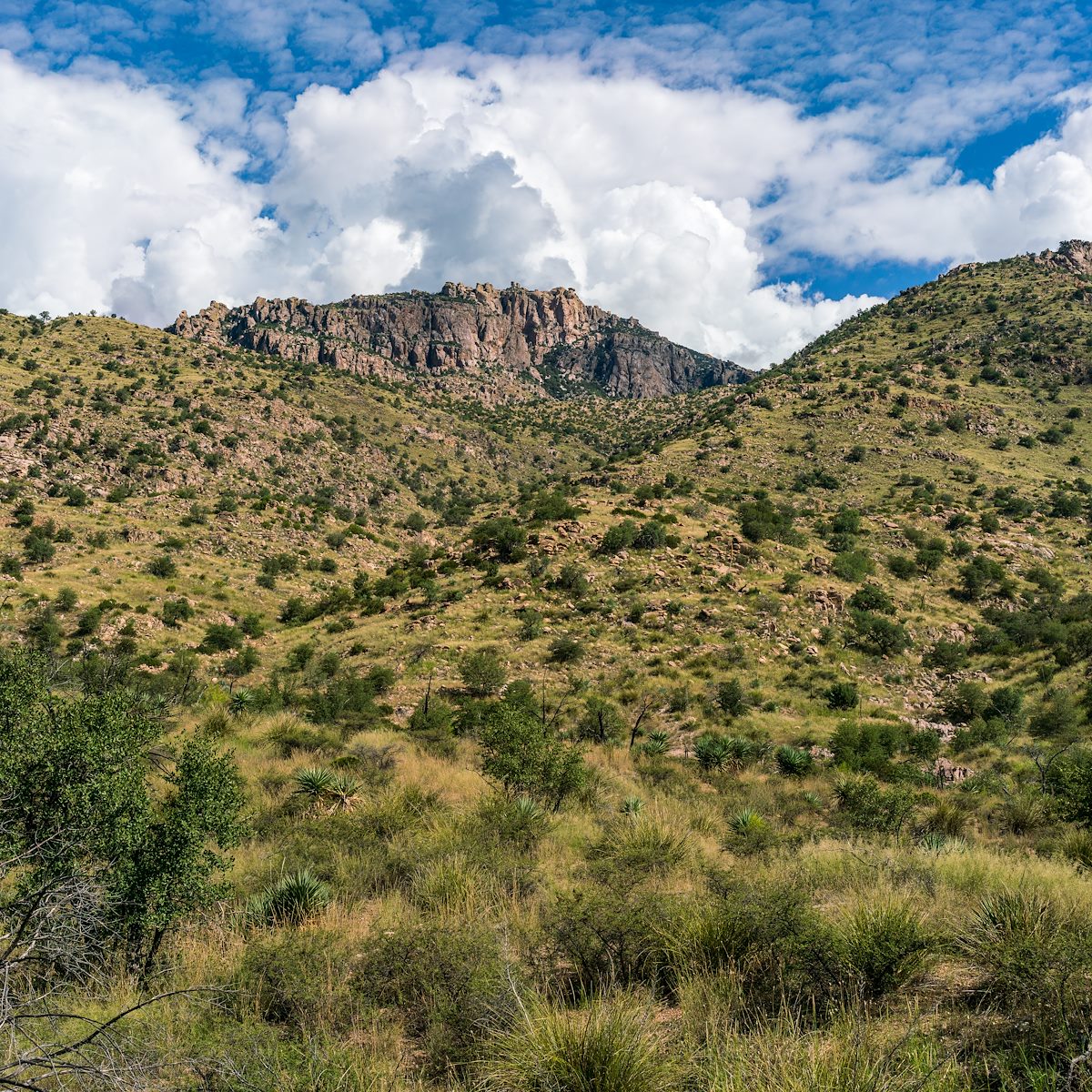 2018 September Cliffs above Sycamore Canyon